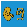 先锋影播放器